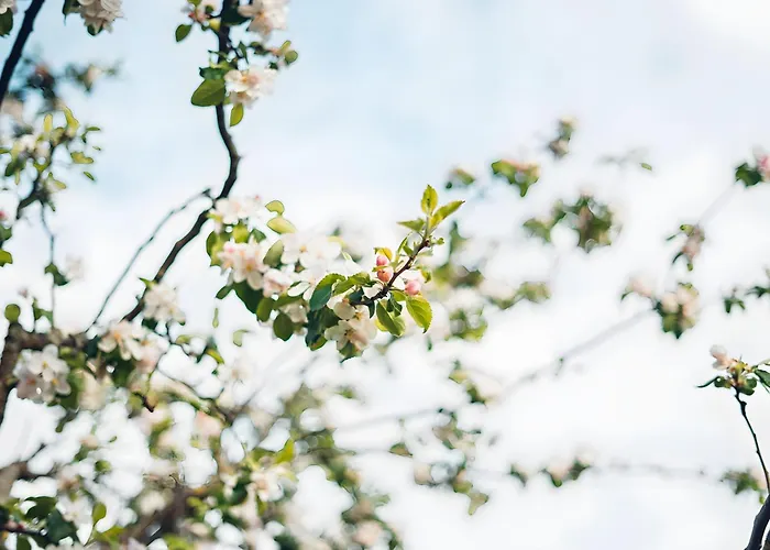 Gaestehaus Gutensohn 아파트 바서부르크