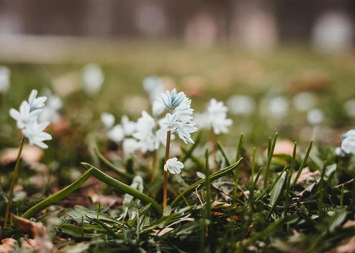 아파트 Gaestehaus Gutensohn *