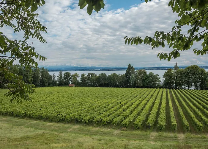 Gaestehaus Gutensohn 아파트 바서부르크