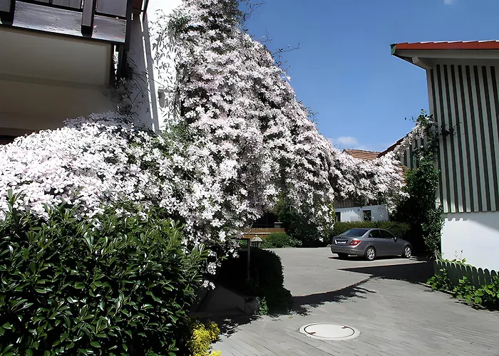 Gaestehaus Gutensohn * 바서부르크